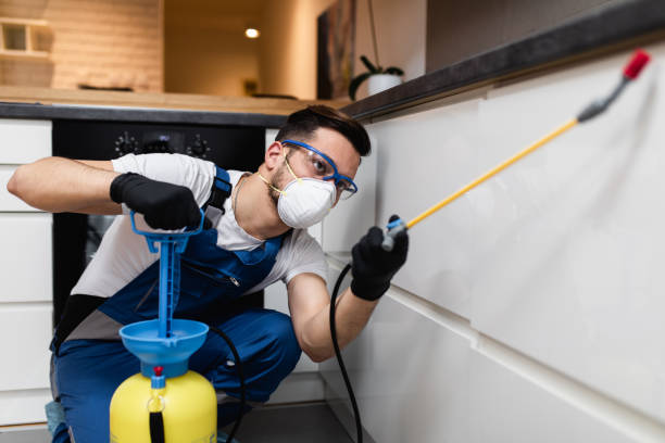 Best Wildlife Control Services  in Woodacre, CA