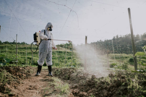 Best Best Pest Control Companies  in Woodacre, CA