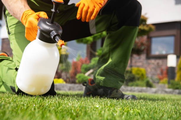 Best Pest Removal Services  in Woodacre, CA