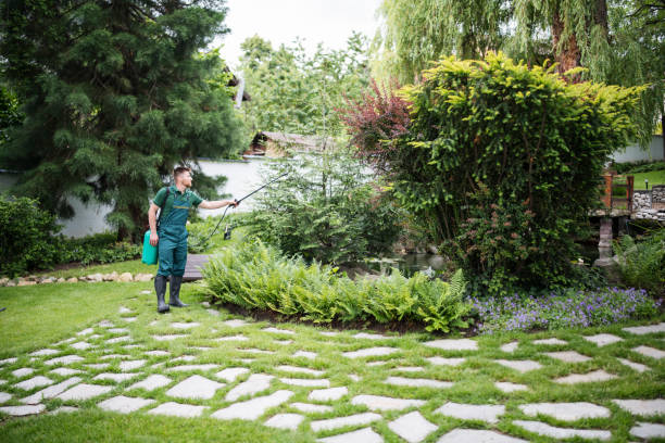 Best Flea Control Services  in Woodacre, CA