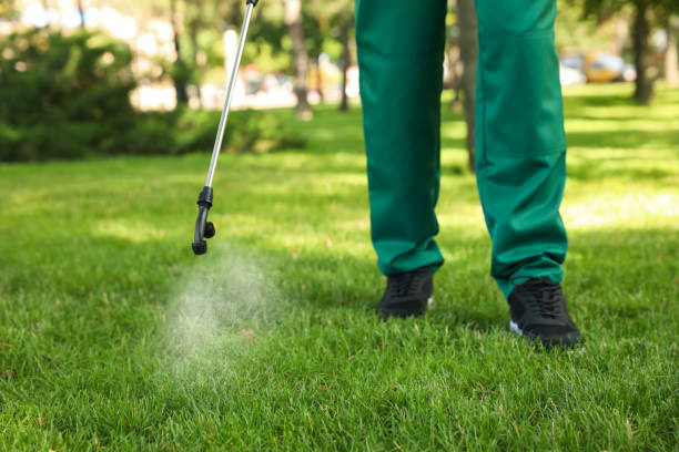 Best Emergency Pest Control  in Woodacre, CA