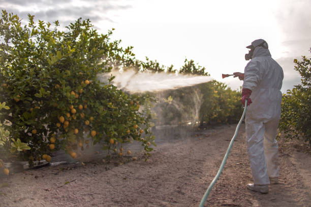 Best Bird Control  in Woodacre, CA