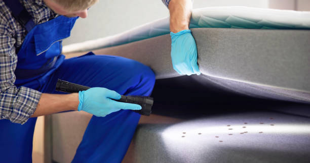 Best Wasp Removal Services  in Woodacre, CA