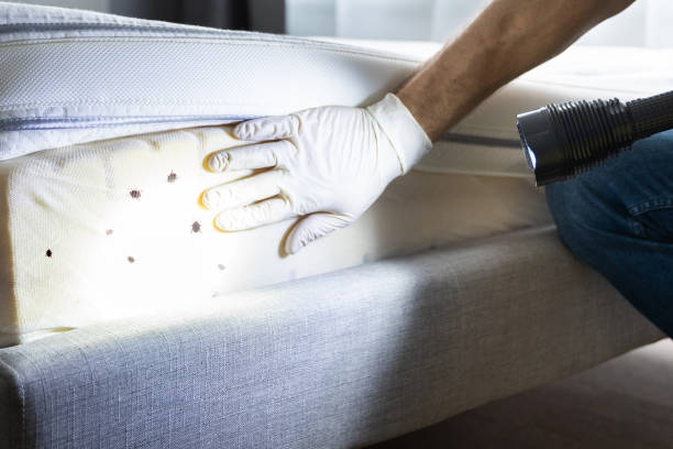 Best Cockroach Control Services  in Woodacre, CA