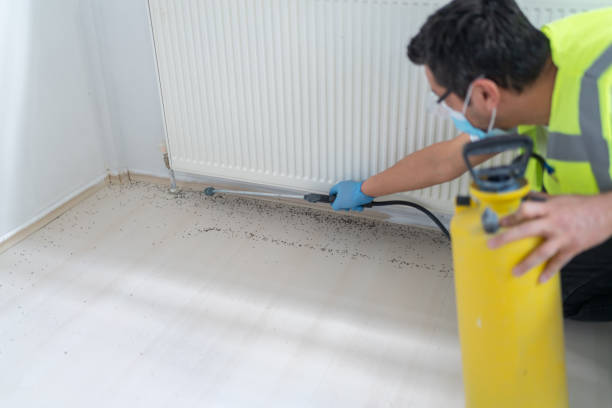 Pest Control Cost in Woodacre, CA