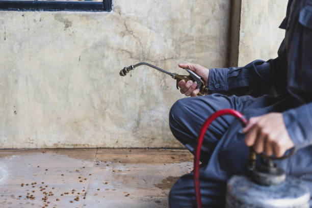 Best Pest Prevention Services  in Woodacre, CA