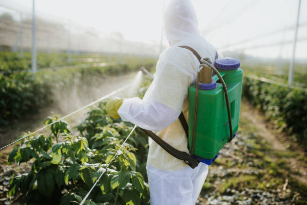 Best Affordable Pest Control Services  in Woodacre, CA